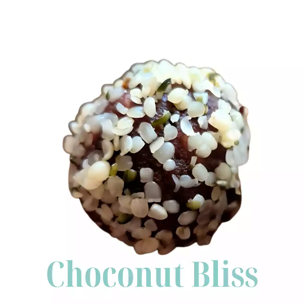 Close-up of scMicroGro ChocoNut Bliss energy bite, coated in hemp seeds. Keto, gluten-free, dairy-free snack.
